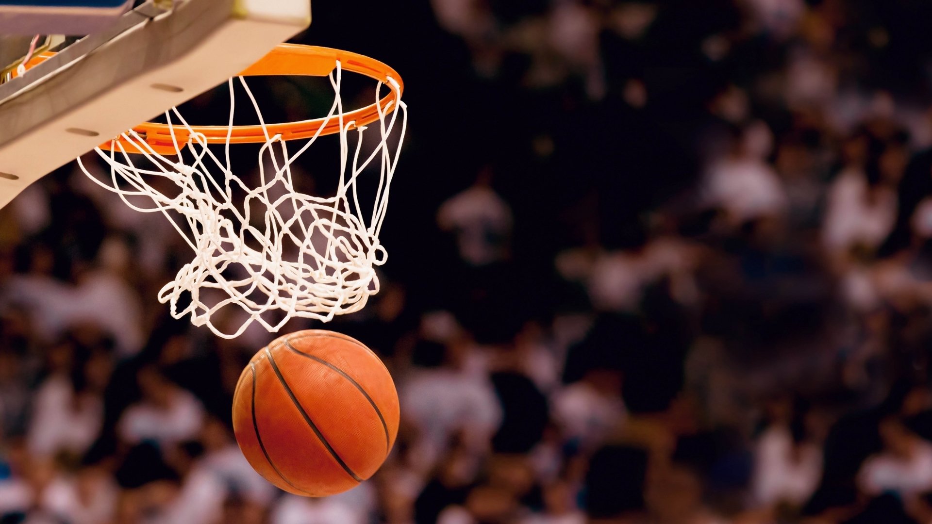 浓眉哥我将化身NBA大球迷热议的简单介绍